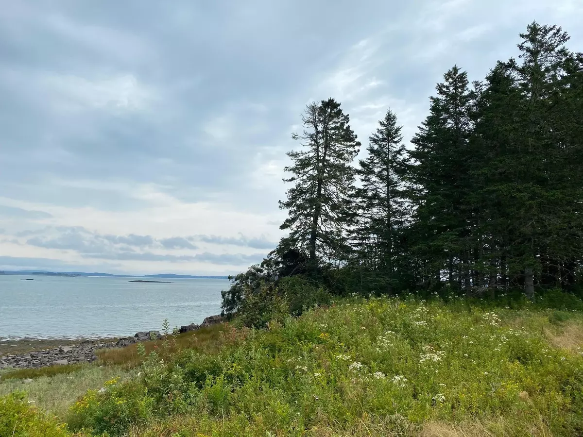 Pembroke, ME 04666,0 Leighton Point RD