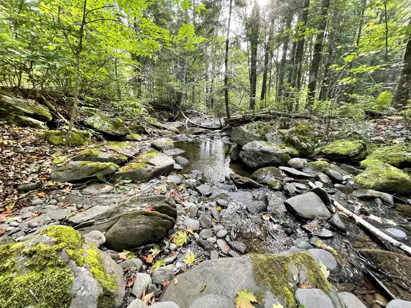 36 Gilmore Brook RD, Eagle Lake, ME 04739