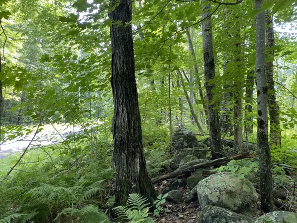 Vienna, ME 04352,00 Seavey Corner Road