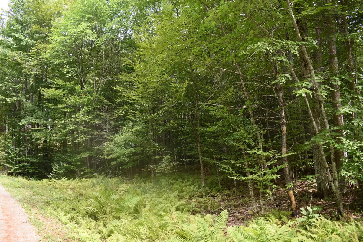 Winthrop, ME 04364,0 Woodland RD