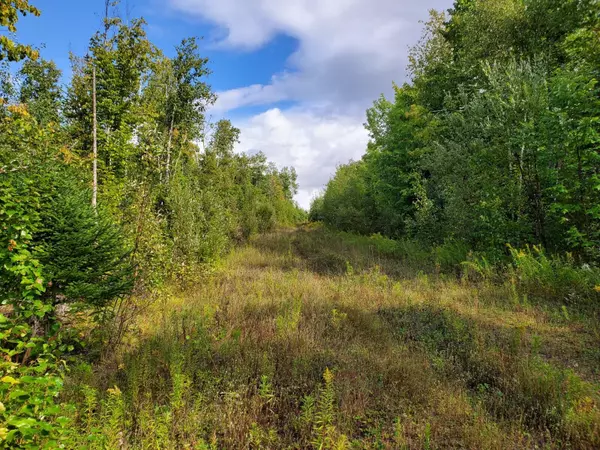 Drew Plt, ME 04451,off Route 171