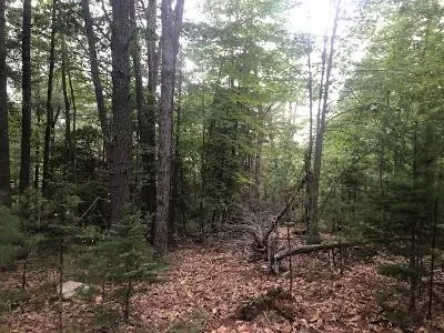 Brewer, ME 04412,Lot 18 Tracy Terrace