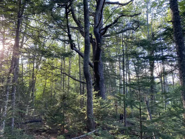 Trenton, ME 04605,1020 Bayside RD