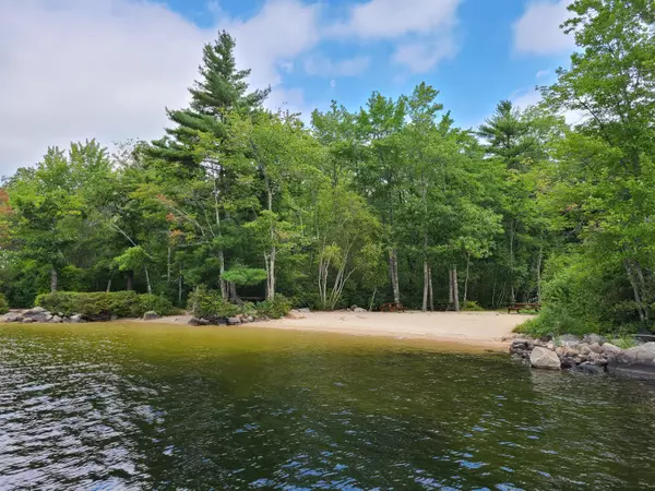 Naples, ME 04055,17 Yearling CT #17