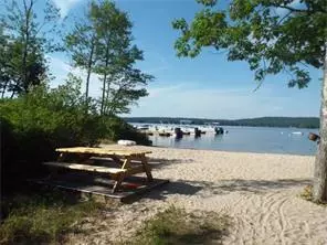 Naples, ME 04055,17 Yearling CT #17