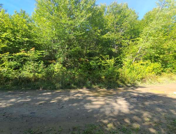 Lot 38.2 Fire RD, Linneus, ME 04730