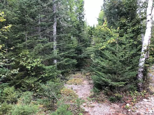 Roque Bluffs, ME 04654,Lot 12 B Duck Cove RD