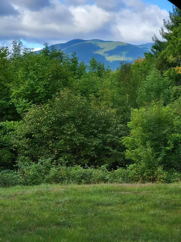 Kingfield, ME 04947,56 Horn RD