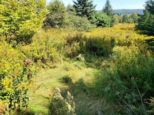 Robbinston, ME 04671,602 RT 1