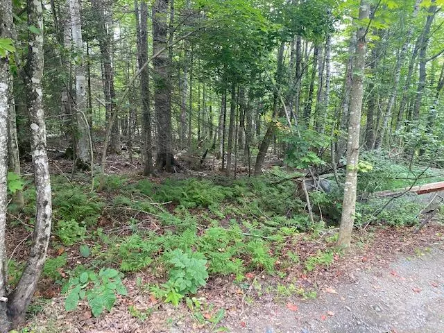 Greenville, ME 04441,51-A Sunset AVE