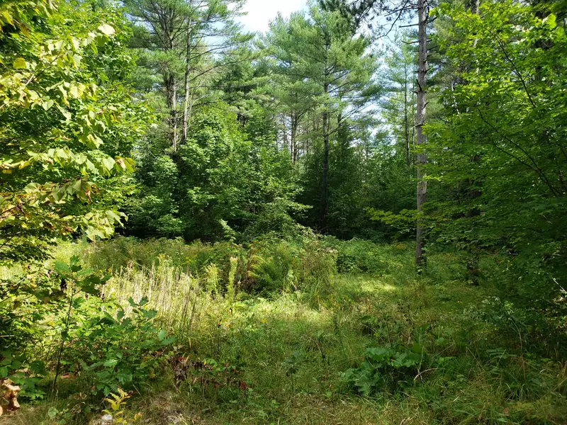 110 Ridge RD, Chesterville, ME 04938