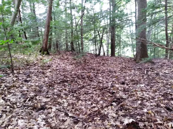 Palmyra, ME 04965,M15 L7&8 Pratt Brook RD