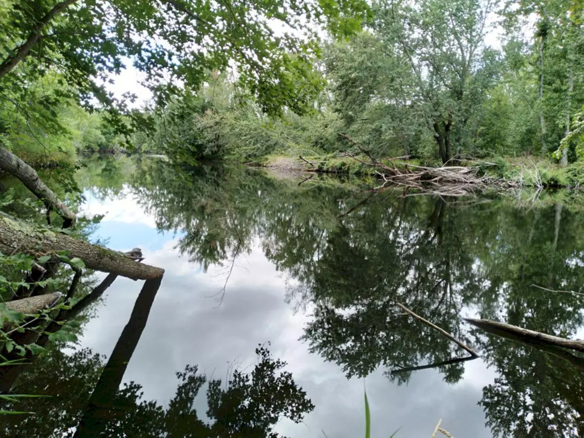 Palmyra, ME 04965,M15 L7&8 Pratt Brook RD