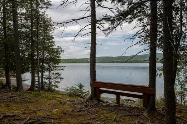 Greenville, ME 04441,Lot 44 Otter Slide RD