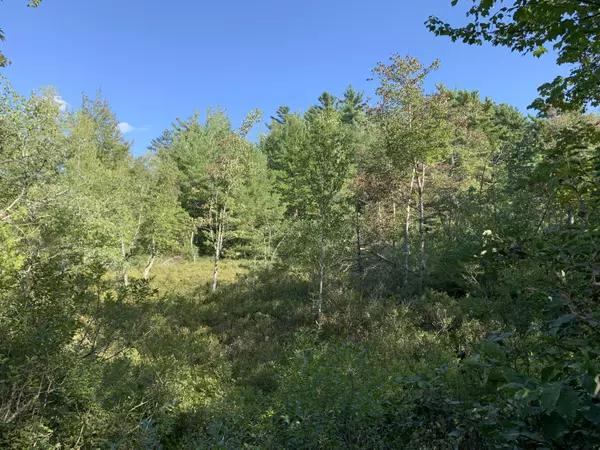 Mount Desert, ME 04660,000-9 Lakeside Road