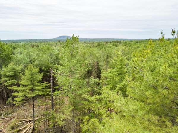 Surry, ME 04864,Lot 3 Granite Rock Circle North RD