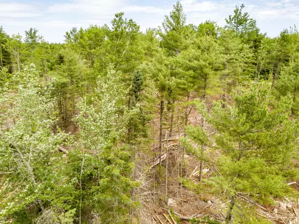 Surry, ME 04864,Lot 3 Granite Rock Circle North RD