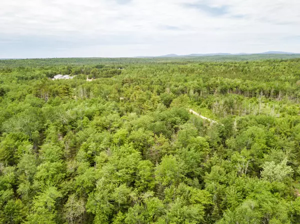 Surry, ME 04684,Lot 4 Granite Rock Circle North RD