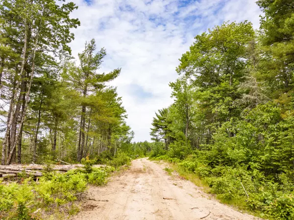 Surry, ME 04684,Lot 4 Granite Rock Circle North RD