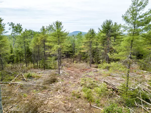 Surry, ME 04684,Lot 4 Granite Rock Circle North RD