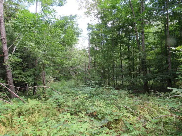 Norridgewock, ME 04957,M3 L20-1 Ward Hill RD