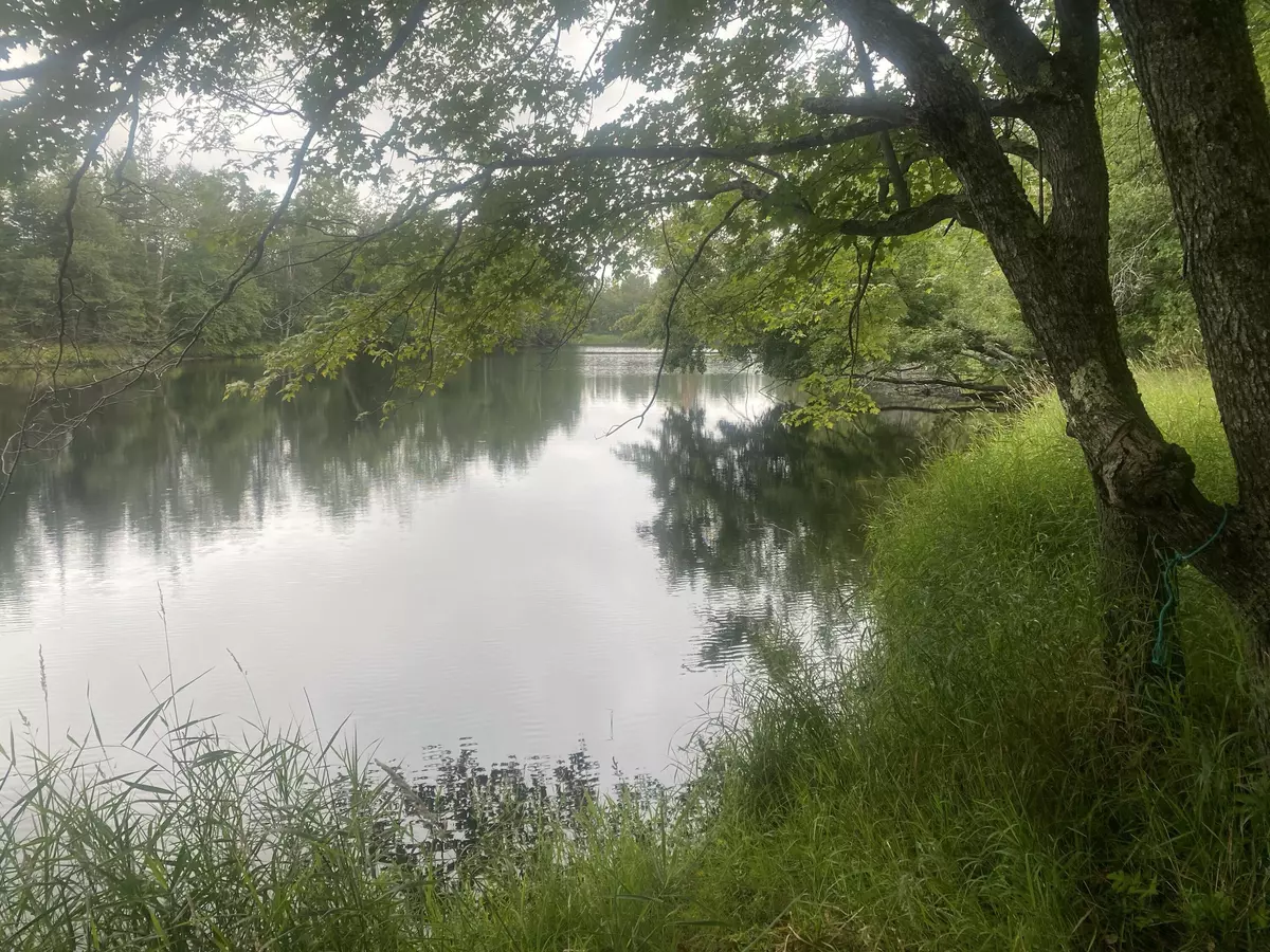 Palmyra, ME 04965,M9L19-3 Gale RD