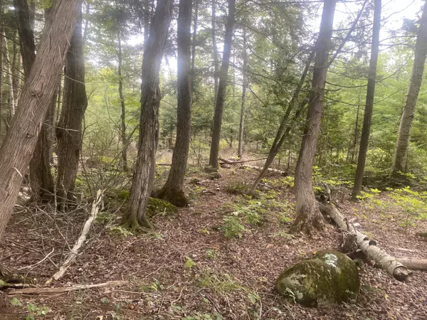 Palmyra, ME 04965,M9L19-3 Gale RD