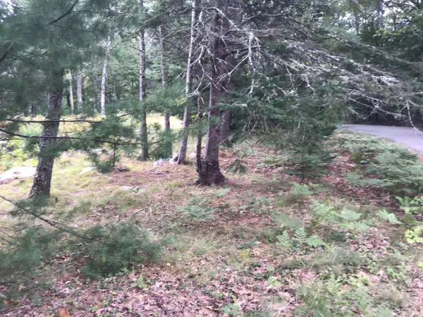 Mount Desert, ME 04660,1 Giant Slide Road