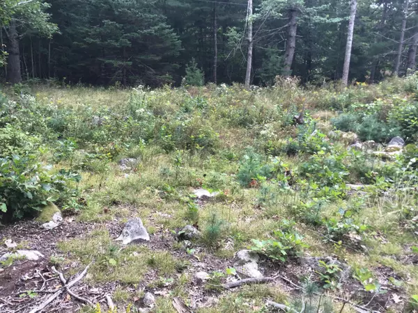 Mount Desert, ME 04660,1 Giant Slide Road