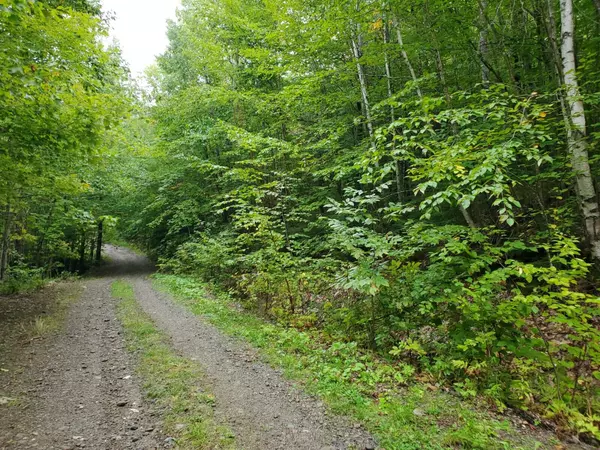 Lakeville, ME 04487,Lot 11-06N Vista View RD