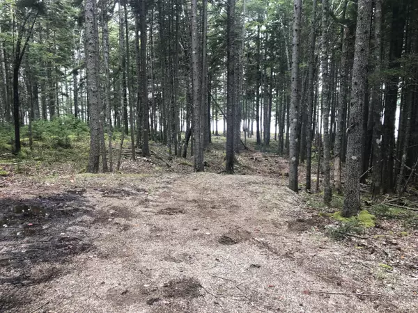 Steuben, ME 04680,17 Missy WAY