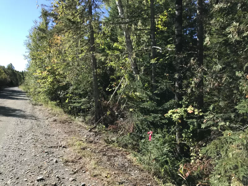 017F Cow Team RD, Crystal, ME 04747