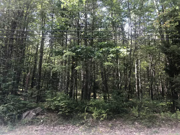 Lyman, ME 04002,0 Clarks Woods RD