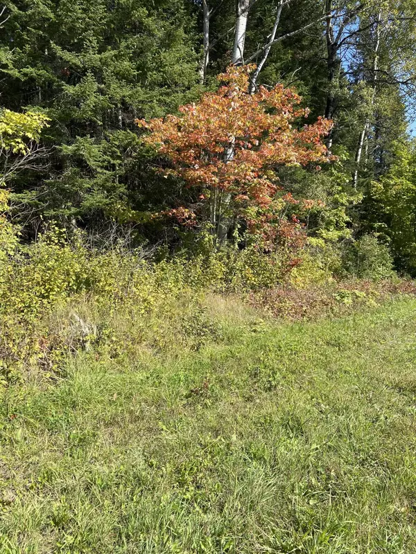 New Sweden, ME 04762,249 Madawaska RD