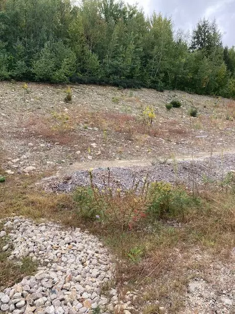 Acton, ME 04001,Lot #69-11 Liberty LN