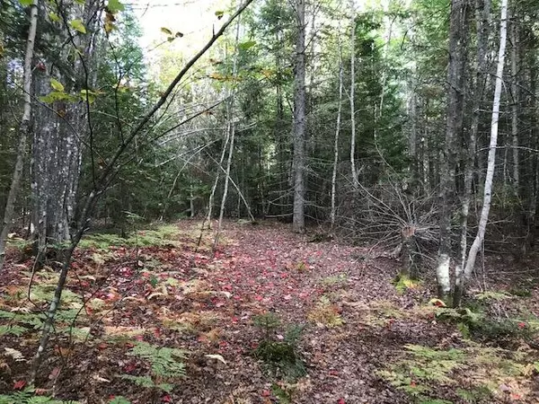 Greenville, ME 04441,20 Wilson View DR