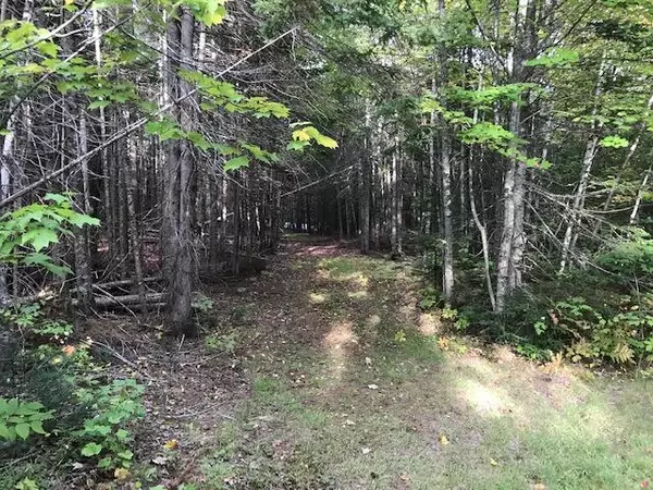 Greenville, ME 04441,20 Wilson View DR