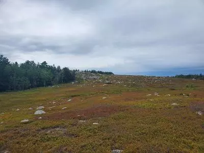 Steuben, ME 04680,0 Mogador RD