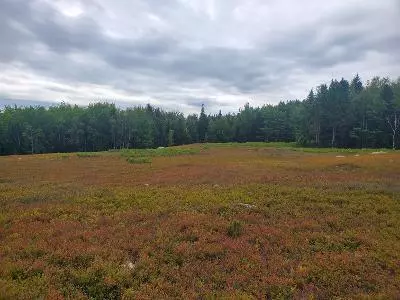 Steuben, ME 04680,0 Mogador RD