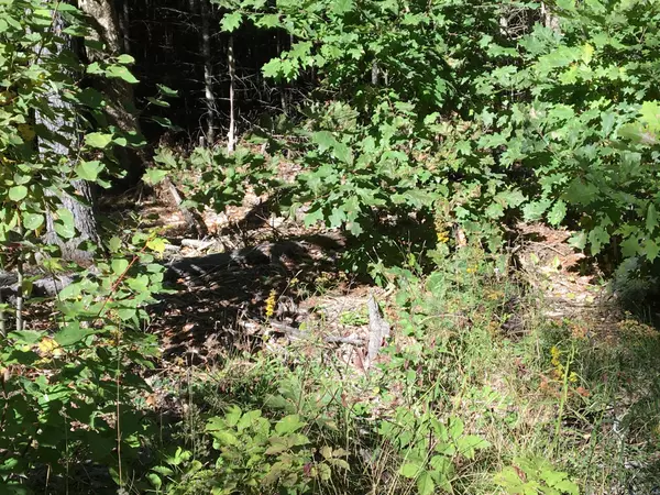 Northfield, ME 04654,Lot 48 Two Lakes DR