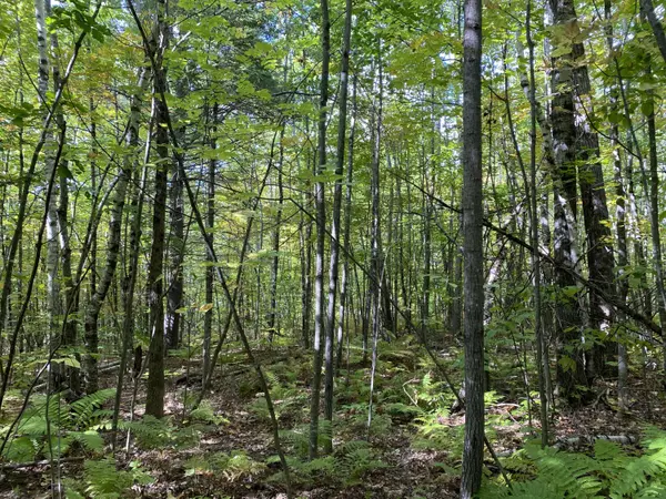 Vienna, ME 04352,Lot 4 Stream Road