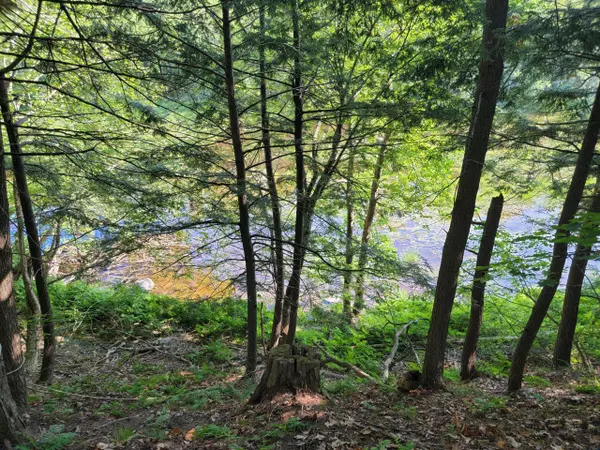 Bangor, ME 04401,292 Finson RD