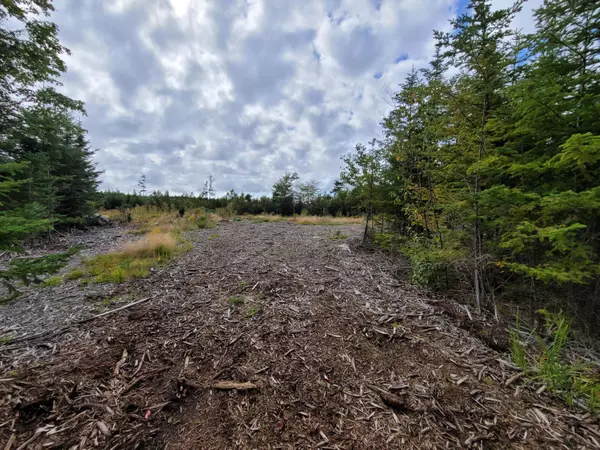 Gouldsboro, ME 04607,36 Peninsula Shores RD