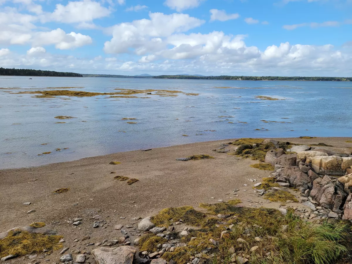 Gouldsboro, ME 04607,36 Peninsula Shores RD