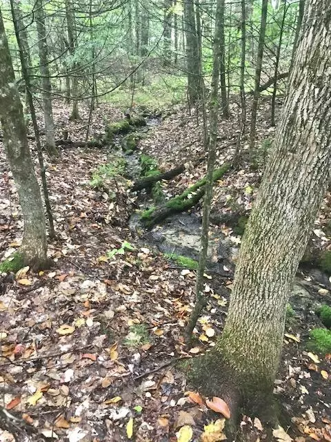 New Gloucester, ME 04260,31 Romans RD