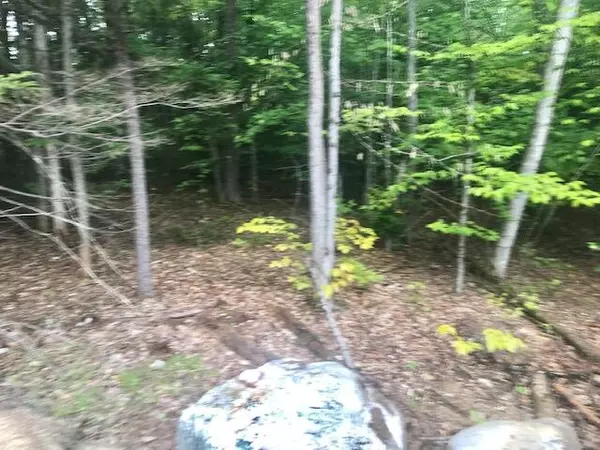 New Gloucester, ME 04260,31 Romans RD