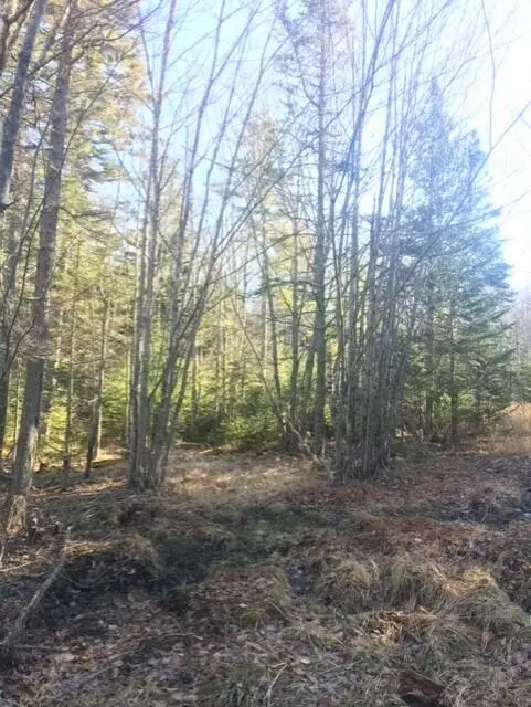 South Thomaston, ME 04858,0 Spruce Head RD