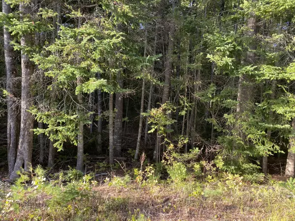 Milford, ME 04461,00 Griffin Drive DR