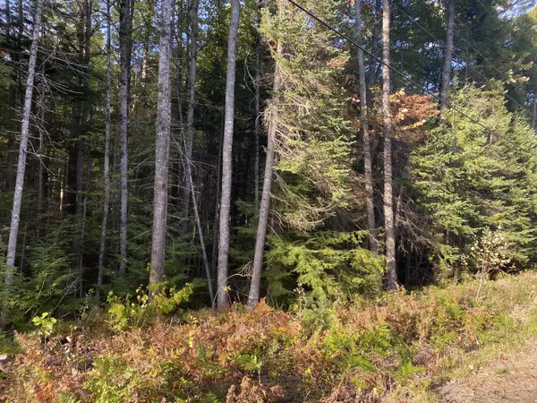 Milford, ME 04461,00 Griffin Drive DR