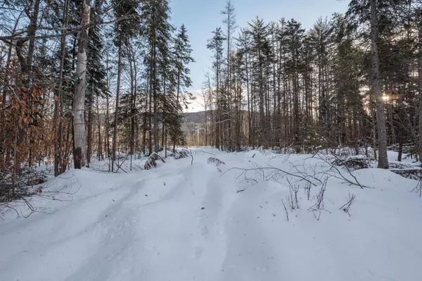 Newry, ME 04261,480 Sunday River RD